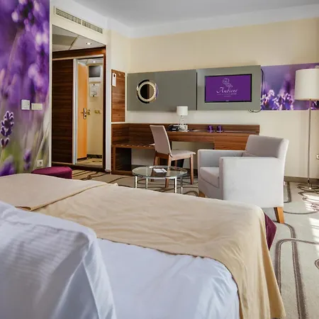 Ambient Hotel&aroma Hotel Sikonda