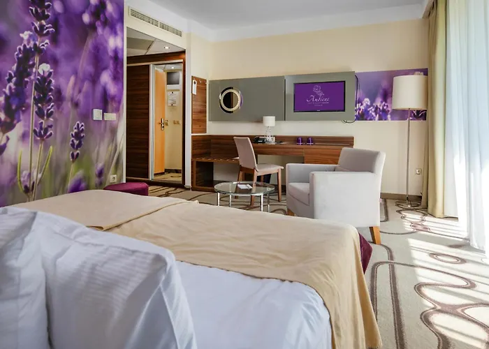 Ambient & Thermal Hotel Sikonda